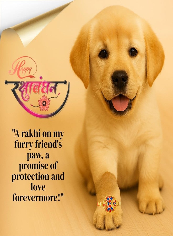 Western Era Rakhi for Pets | Evil Eye Resin Rakhi for Dogs & Cats | Includes Roli Chawal | Celebrate Raksha Bandhan with Your Furry Companion (Design 4) - Image 4